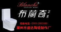 誠(chéng)招布蘭奇座便器全國(guó)代理商