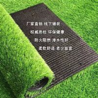 人工草坪，人工草坪廠家，人工草坪施工，人工草坪批發(fā)